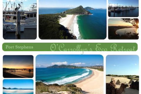 The Oasis At One Mile Beach - Accommodation Sydney 5