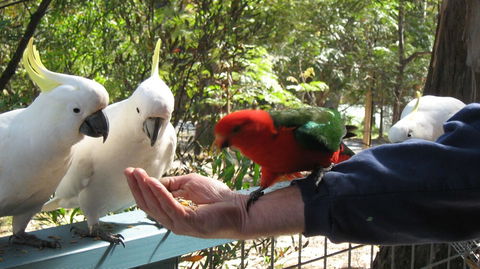 Lorne Bush House Cottages & Eco Retreats - Sydney 4u 0