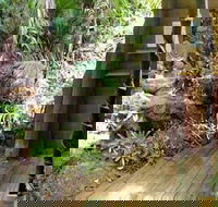 Rainforest Hideaway - Accommodation Sydney