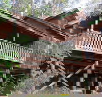Barrington Wilderness Cedar Lodge Accommodation - Sydney 4u