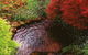 Forget Me Not Cottages - thumb 1