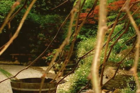 Forget Me Not Cottages - Accommodation Sydney 3