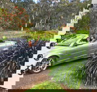 Valley Farm Vineyard Cottages - Accommodation Sydney