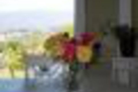 Eagles View Bed & Breakfast - Accommodation Sydney 6