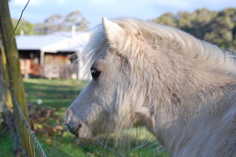 Billa Billa Farm Cottages - Sydney 4u 3