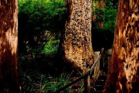 Billa Billa Farm Cottages - Sydney 4u 2