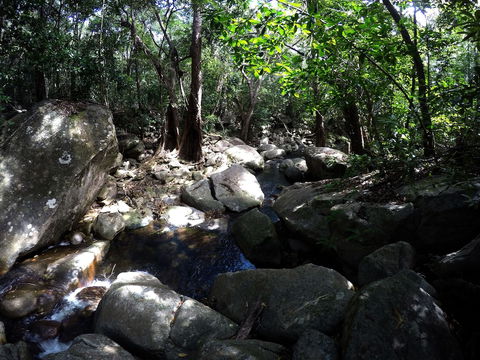 Mungumby Lodge - Cooktown - Sydney 4u 2