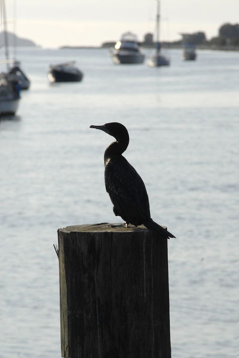 Mariners On The Waterfront - Accommodation Sydney 3