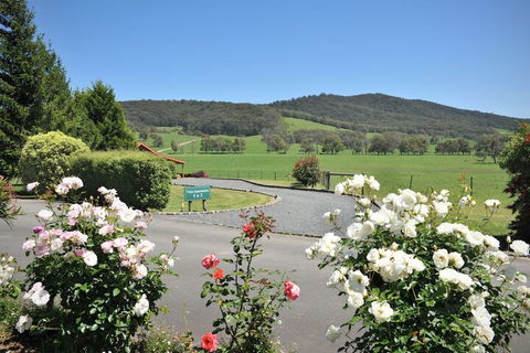 Langbrook Estate Cottages - Sydney 4u 1
