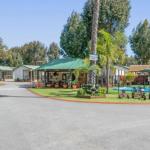 Mandurah Caravan & Tourist Park - Accommodation Sydney 1