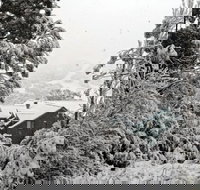 Alpenhorn - Accommodation Sydney