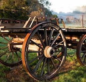 Toorongo River Sanctuary - Accommodation Sydney