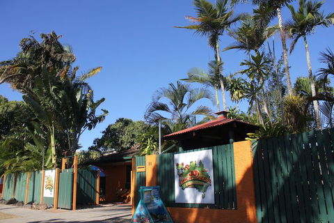 JJs Backpackers Hostel - Accommodation Sydney 1