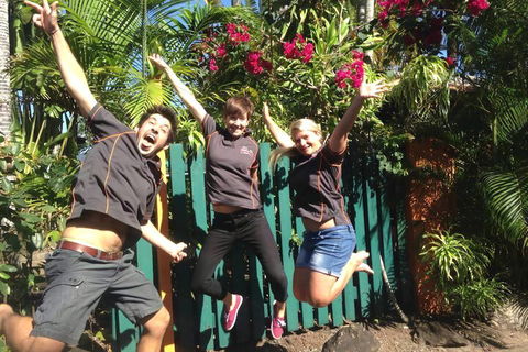 JJs Backpackers Hostel - Accommodation Sydney 6