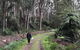 Warburton Holiday House - thumb 3