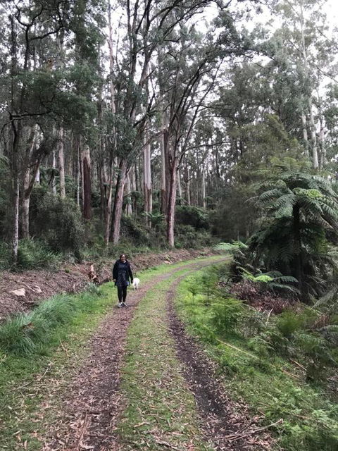 Warburton Holiday House - Accommodation Sydney 3