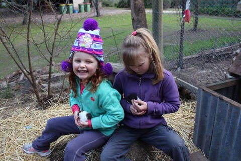 Fernleigh Farmstay & Bike Park - Sydney 4u 3