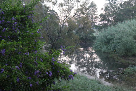 Serendipity On Allyn - Accommodation Sydney 7