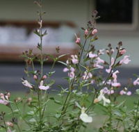 Serendipity on Allyn - Accommodation Sydney