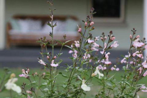 Serendipity On Allyn - Accommodation Sydney 0