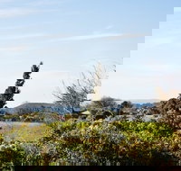 Botanica - Accommodation Sydney