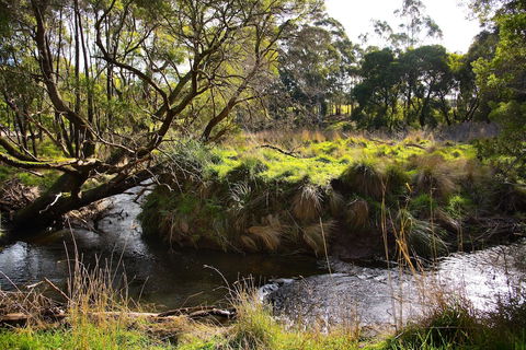 Green Gully House - Sydney 4u 0