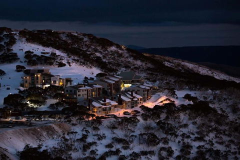 Absollut - Accommodation Sydney 1