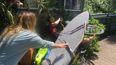 Beachside Backpackers - Accommodation Sydney 6