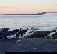 Hilton Motel - Accommodation Sydney