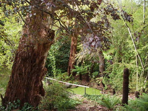 Hilltop - Accommodation Sydney 3