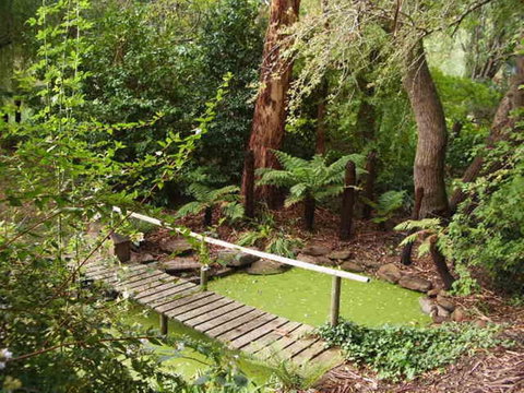 Hilltop - Accommodation Sydney 6