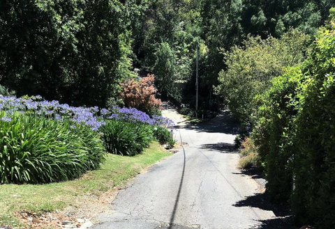 Hilltop - Accommodation Sydney 2