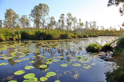 Salamander Bay Bed & Breakfast - Accommodation Sydney 4
