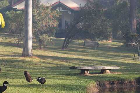 Telegraph Retreat Cottages - Accommodation Sydney 6