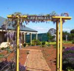 Lavendale Farmstay  Cottages York - Accommodation Sydney