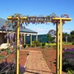 Lavendale Farmstay & Cottages York - Sydney Resort 0