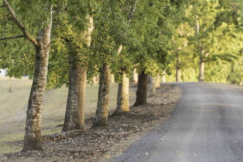 Clarendon Forest Retreat - Accommodation Sydney 3