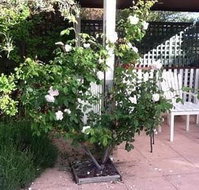 Ellesmere House - Accommodation Sydney