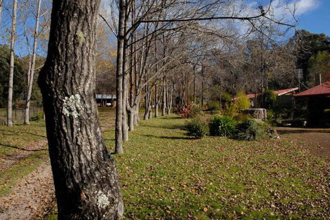 Birdwing Bed & Breakfast Weegena - Accommodation Sydney 2