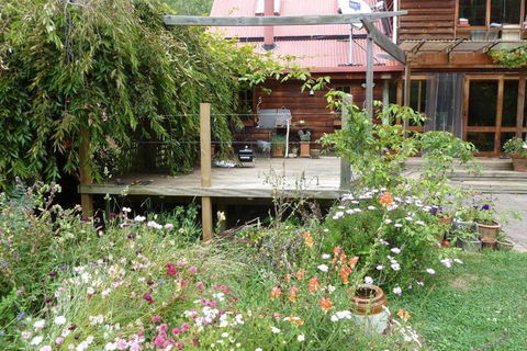 Birdwing Bed & Breakfast Weegena - Accommodation Sydney 6