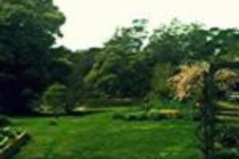 Birdwing Bed & Breakfast Weegena - Accommodation Sydney 0