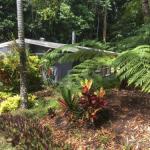 Kuranda QLD Sydney 4u