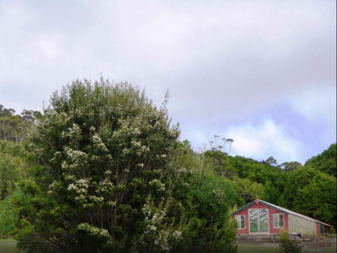 Rocky Glen Retreat King Island - Sydney 4u 6