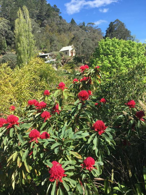 Stringers Cottage - Accommodation Sydney 1