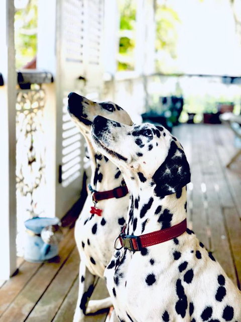 Redland BayBreeze - Accommodation Sydney 4