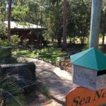 Sea Nest - Accommodation Sydney 0