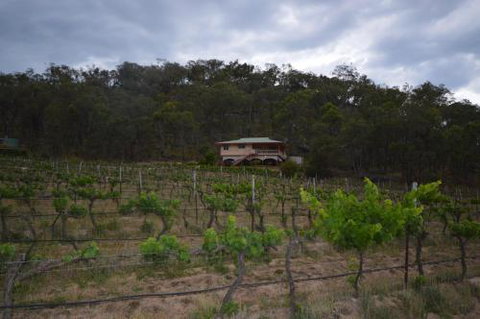 Sancerre Estate - Accommodation Sydney 6