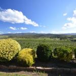 Sancerre Estate - Accommodation Sydney 0