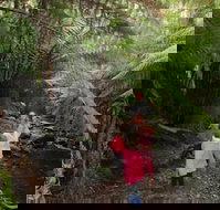 12 Apostles Cottages - Accommodation Sydney