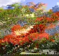 Eastwood Farm - Accommodation Sydney